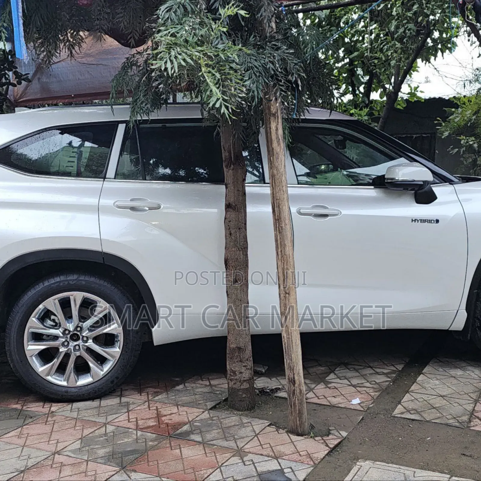 Toyota Highlander Hybrid 2024 White