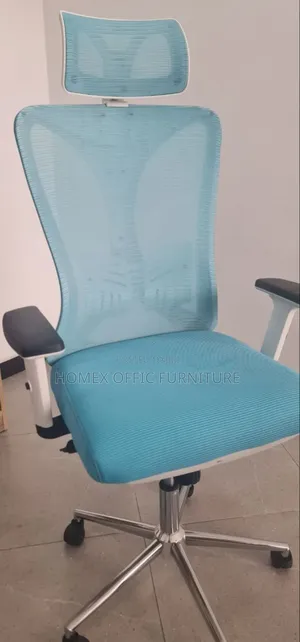 Photo - Managerial Mesh Chair – For Executives and Managers