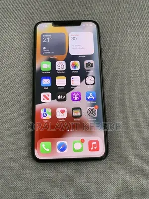 Apple iPhone 12 Pro Max 256 GB Gray