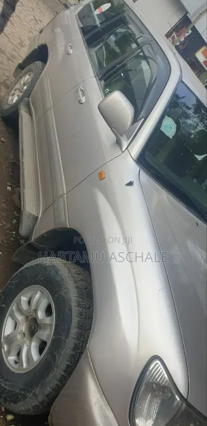Toyota Land Cruiser 2004 Silver