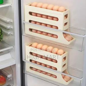 Egg Storage and Organizer