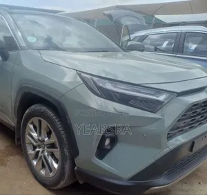 New Toyota RAV4 2023 Gray