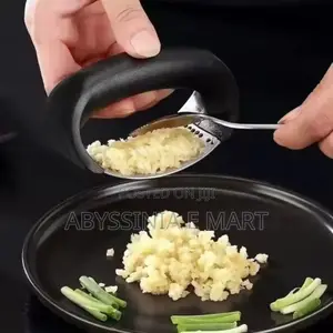 Stainless Steel Garlic Press Crusher