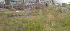 132 Kare ባዶ ቦታ ቃሊቲ አለም ባንክ