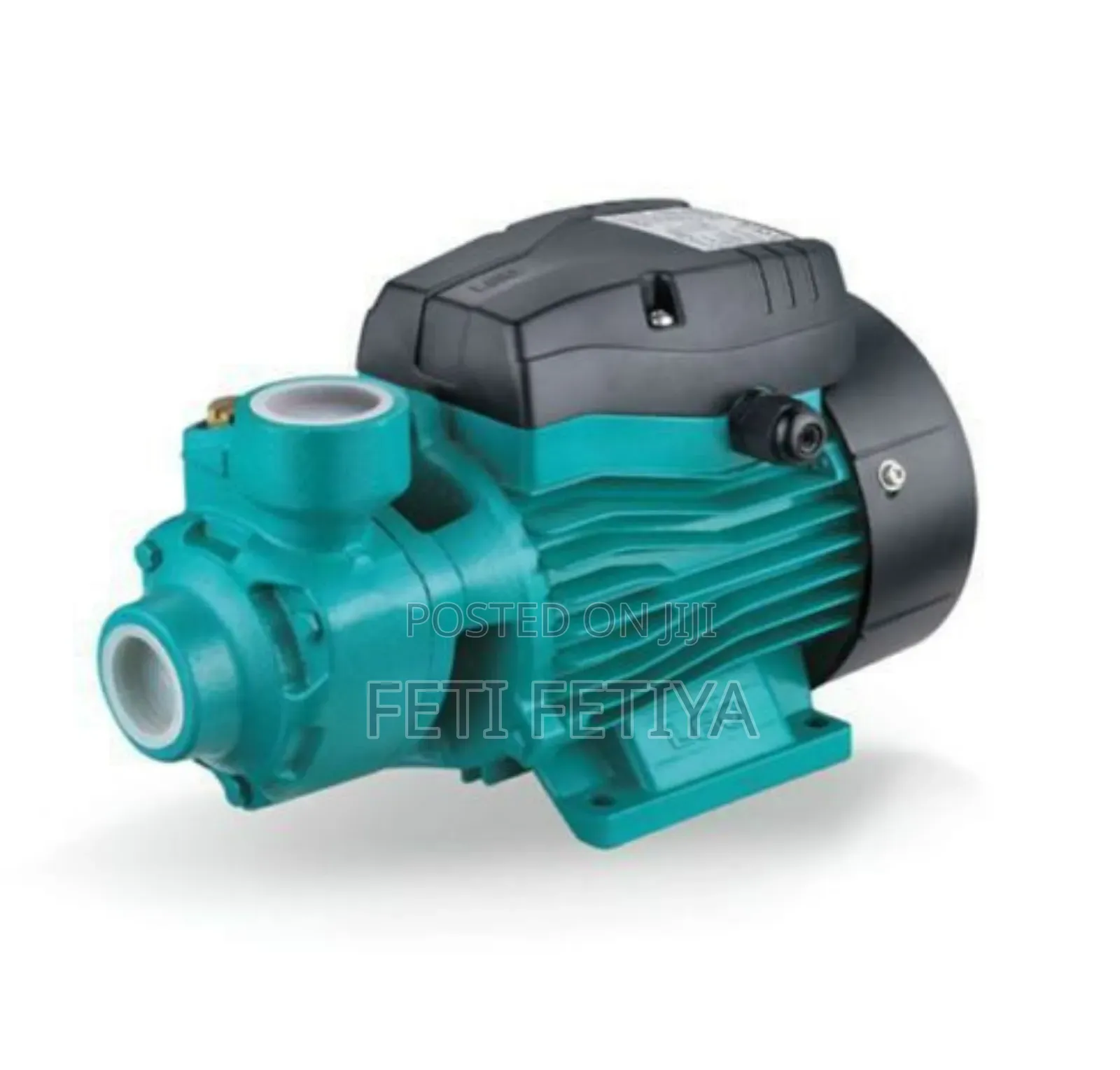 Leo Eletrical Pump