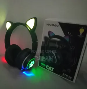 Cat Wireless Headset for Kids and Girls