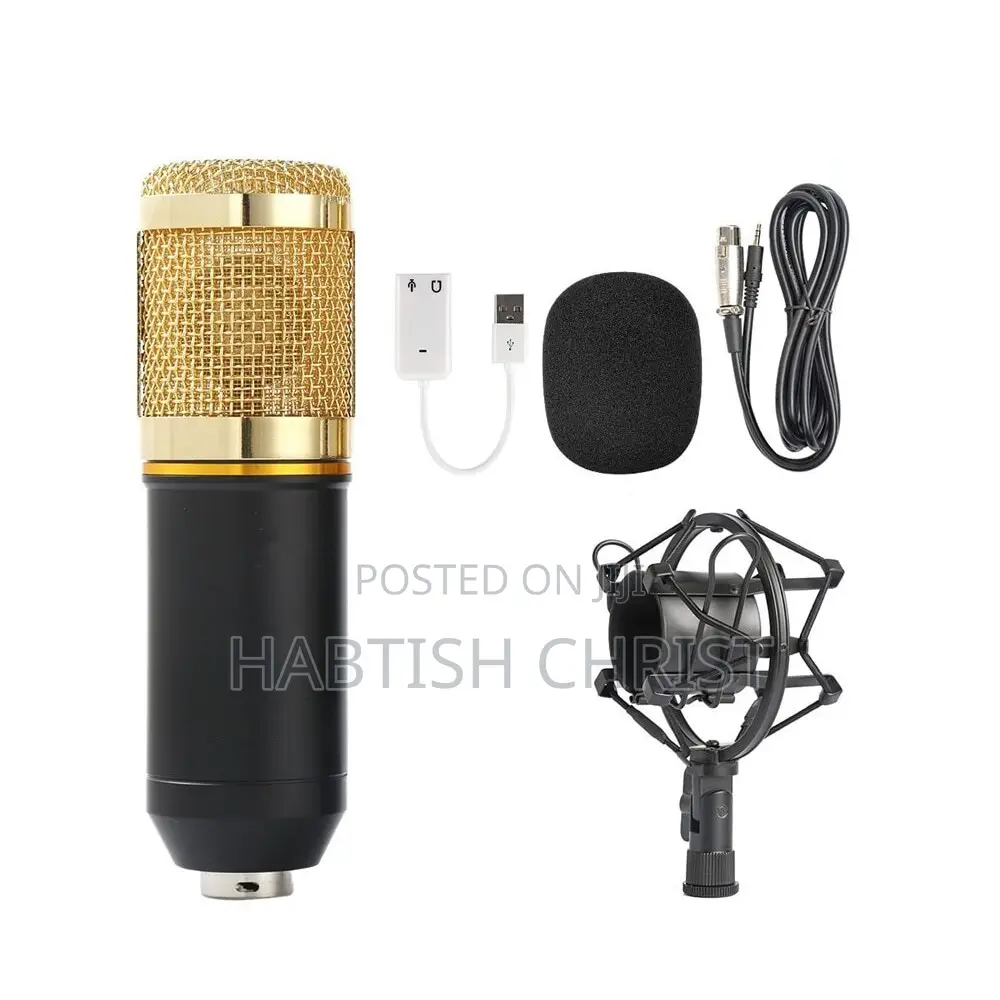 V-8 Condenser Microphone