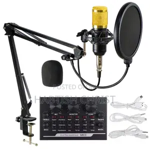 V-8 Condenser Microphone