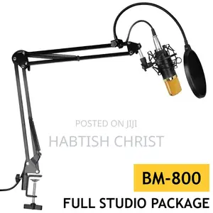 V-8 Condenser Microphone