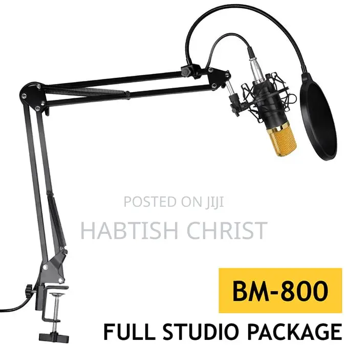 V-8 Condenser Microphone