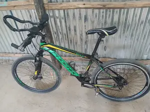 Photo - Phoenix Bike