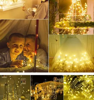Christmas Decor Led Copper Wire String Light