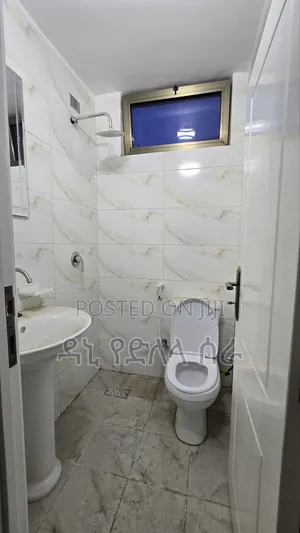 Furnished 3bdrm Apartment in አዲስ አበባ, Bole for sale