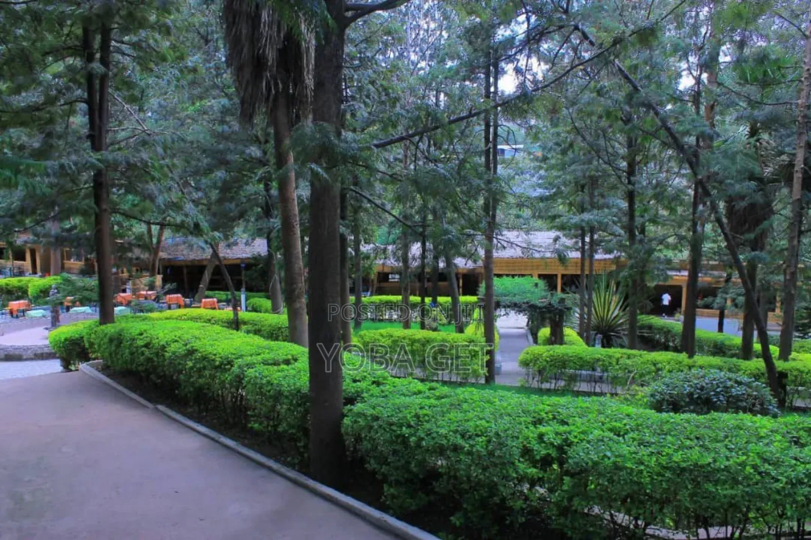 አስቸካይ የሚሸጥ ቱሪስት ሆቴል