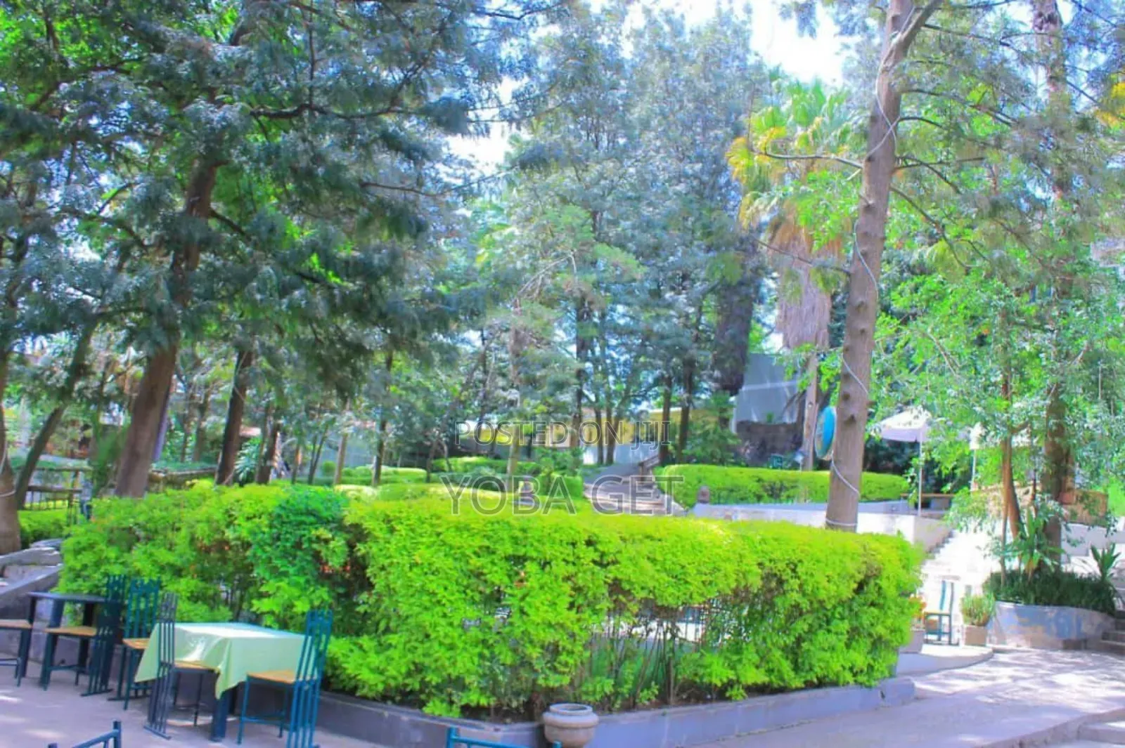 አስቸካይ የሚሸጥ ቱሪስት ሆቴል