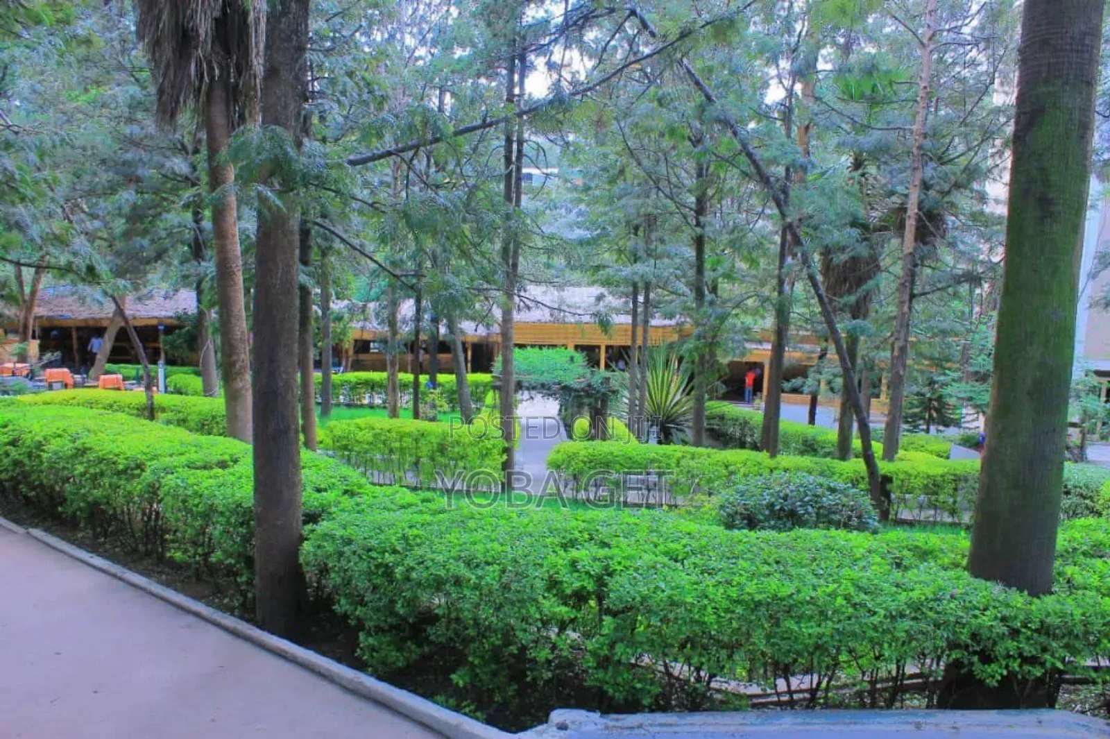 አስቸካይ የሚሸጥ ቱሪስት ሆቴል