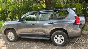 Toyota Land Cruiser Prado 2019 Maroon