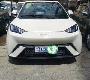 BYD Seagull 2024 Off white