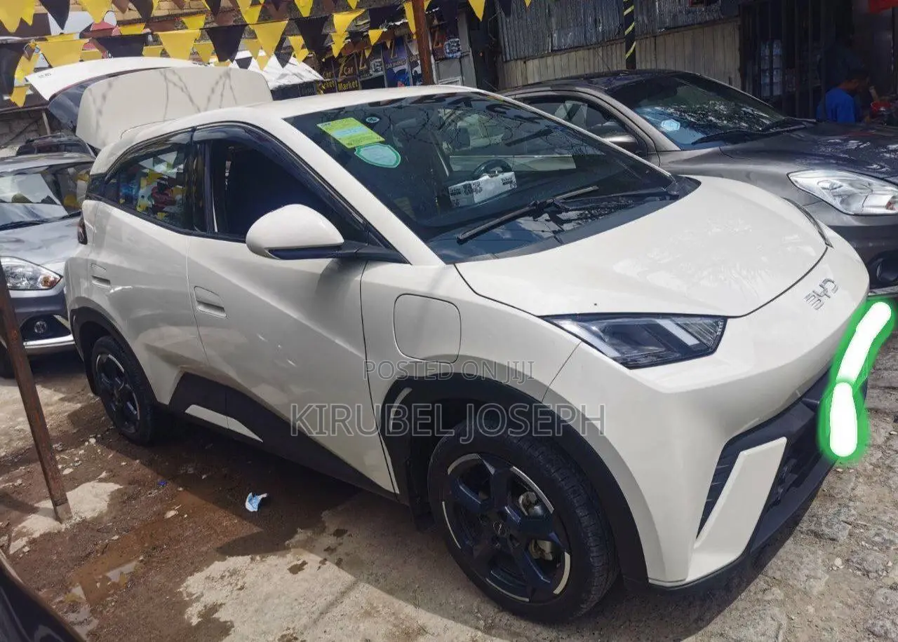 BYD Seagull 2024 Off white