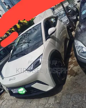 BYD Seagull 2024 Off white