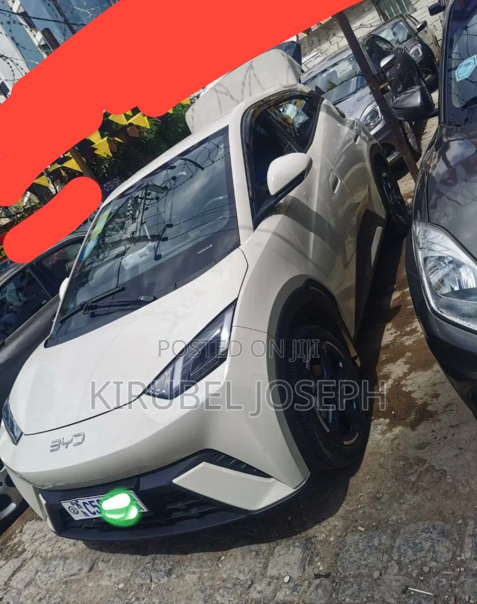 BYD Seagull 2024 Off white