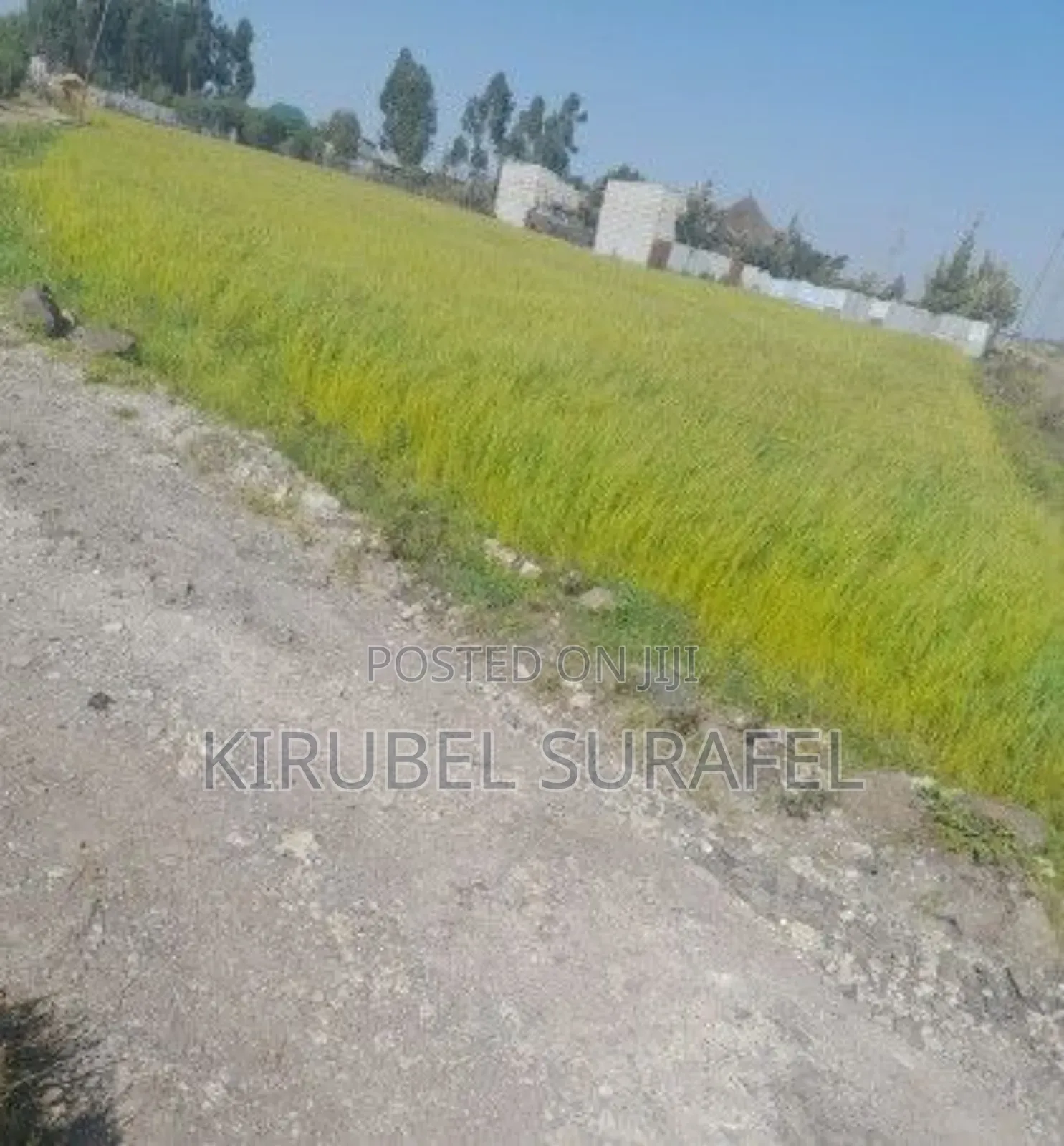 የሚሸጥ ቦታ
ጎሮ ፍልውሃ አከባአከባቢ