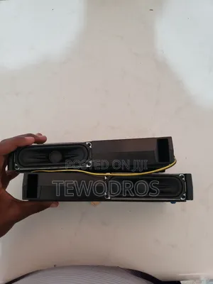 Samsung 55' Tv Speaker