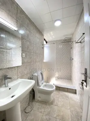 2bdrm Duplex in Kirkos for rent