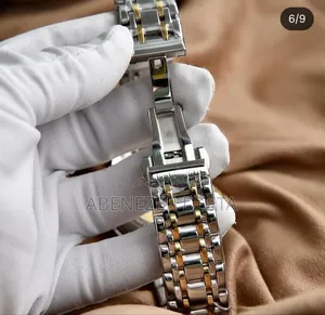 Tevise T9005 Automatic Mechanical Watch With a Two-Tone Silver