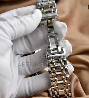 Tevise T9005e Men's Automatic Mechanical Skeleton Watch