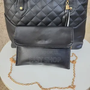 Charles and Keith Combo Bag