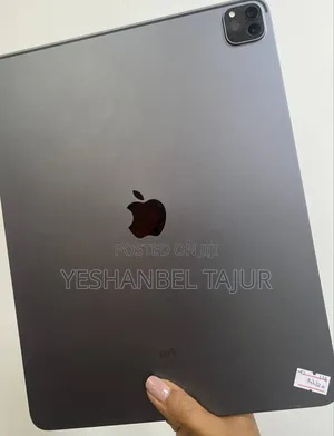 New Apple iPad 10.2 (2021) 256 GB Gray