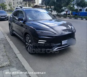 Photo - BYD Song Plus 2023 Gray