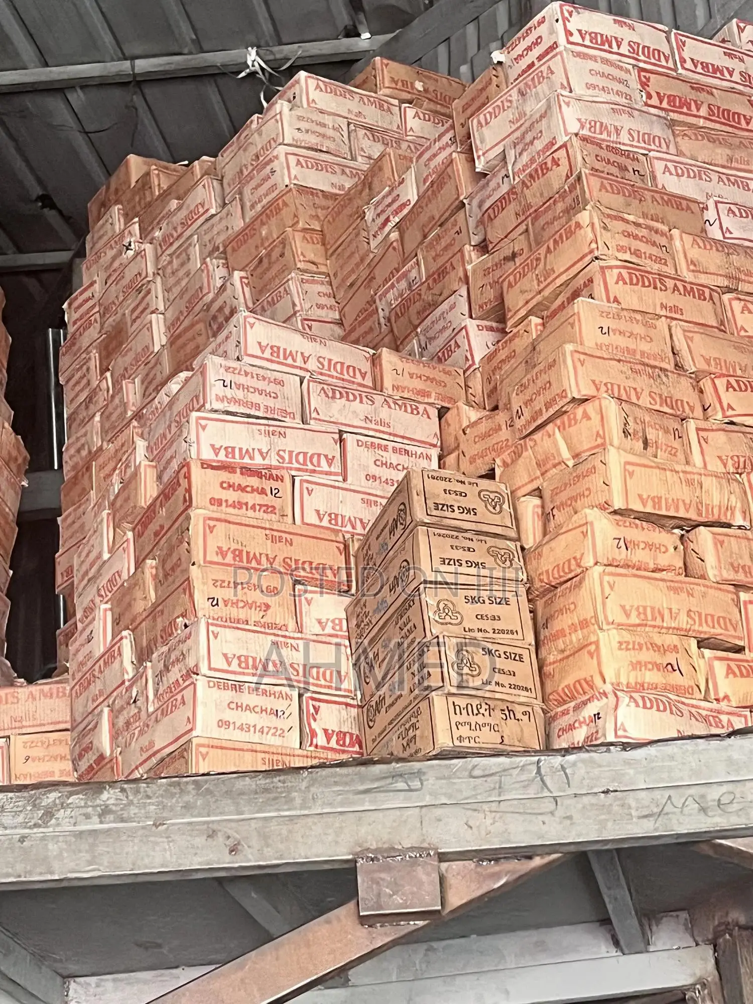 Nail Appolo and Other Brands