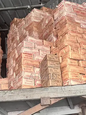 Nail Appolo and Other Brands