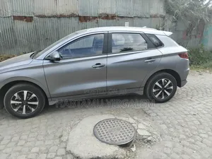 BYD E2 43 kWh 94 hp FWD 2024 Gray