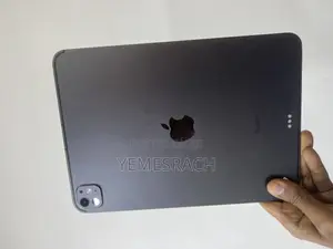 Apple iPad Pro 256 GB Gray