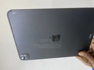 Apple iPad Pro 256 GB Gray