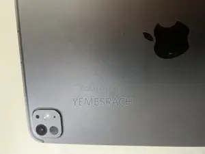 Apple iPad Pro 256 GB Gray