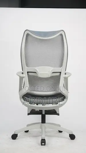 Photo - Ergonomic Mesh Chair