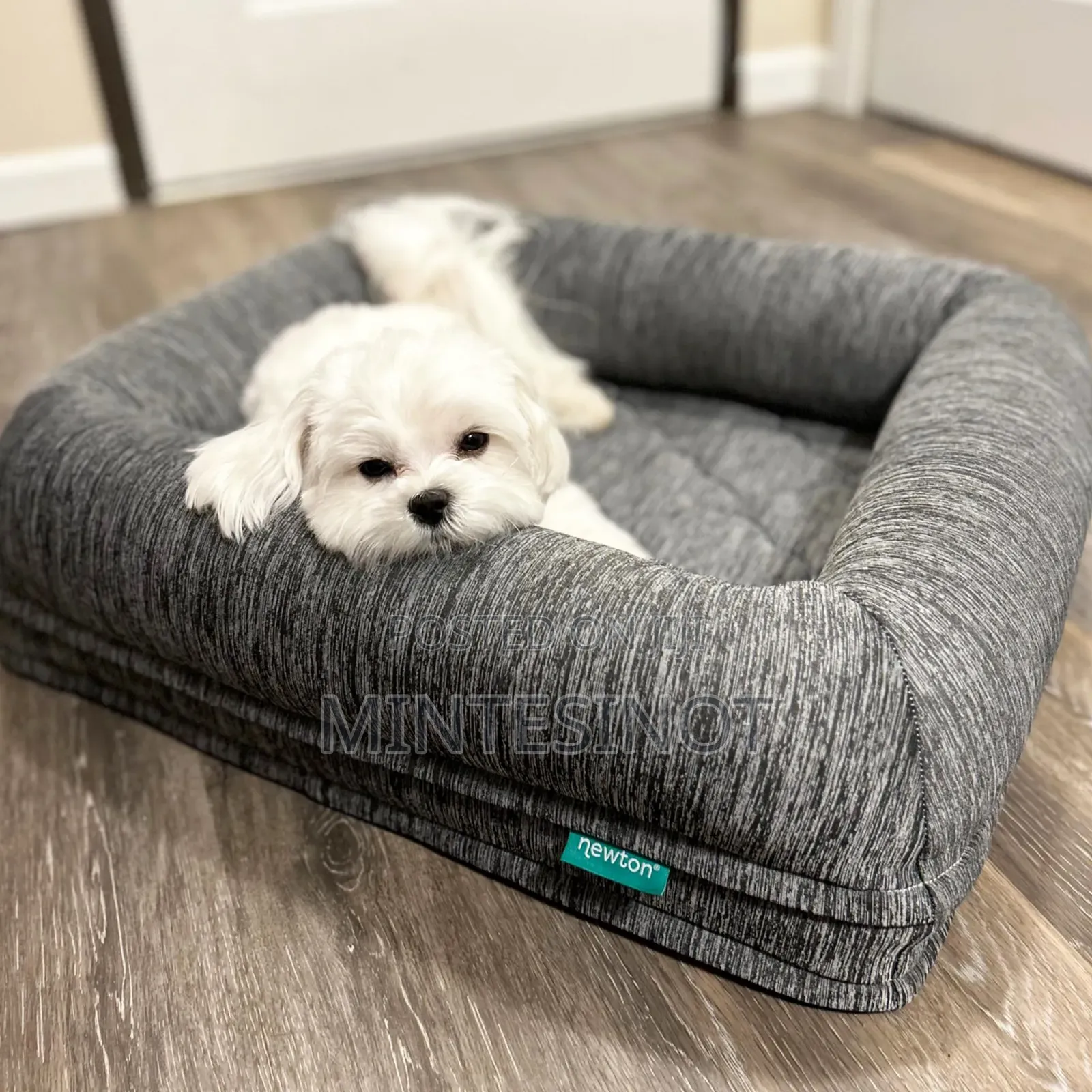 Comfortable Dog Bed