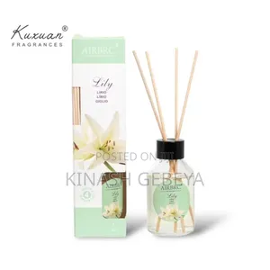 Home Air Perfumer Diffuser(100ml)