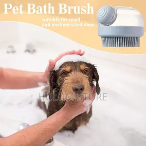 Bath Brush With Soap and Shampoo