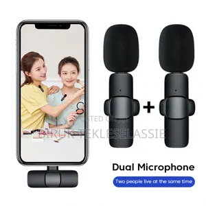 Photo - Dual Wireless Microphone Mic