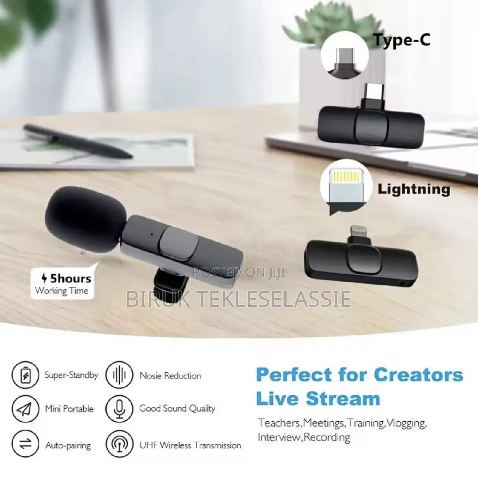 Dual Wireless Microphone Mic