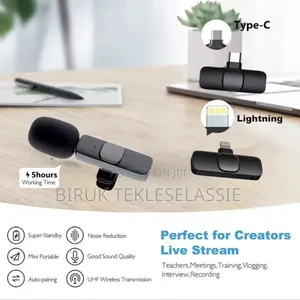 Dual Wireless Microphone Mic