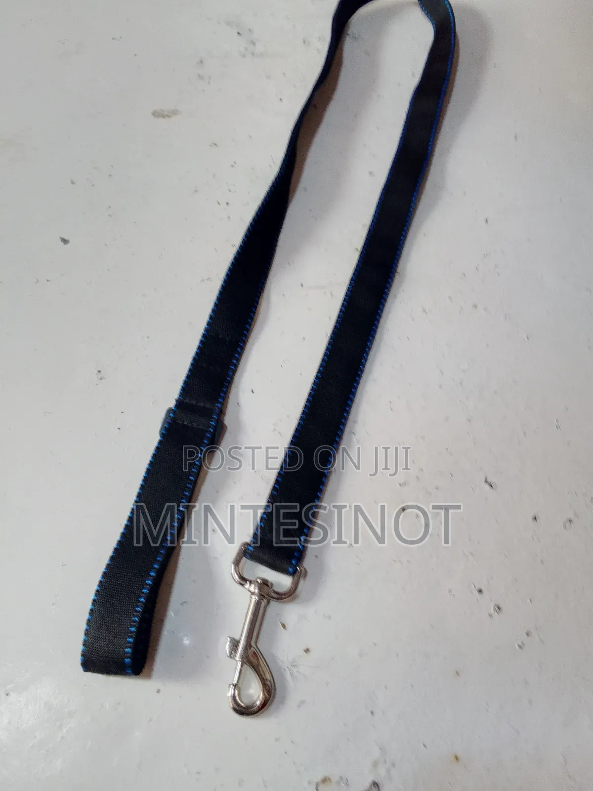 Dog Leash /የውሻ ማሰርያ