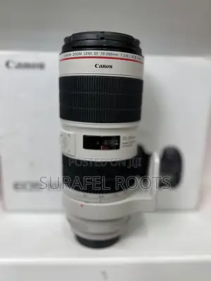 Canon -Zebra” 70-200mm”- “Mark 3” _New
