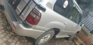 Toyota Land Cruiser 2004 Silver