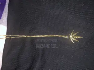 Photo - Man Necklace